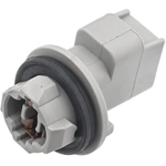 Order BLUE STREAK (HYGRADE MOTOR) - HP3995 - License Plate Light Socket For Your Vehicle