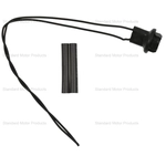 Order License Plate Light Socket by BLUE STREAK (HYGRADE MOTOR) - S2248 For Your Vehicle
