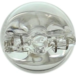 Order License Plate Light (Pack of 10) by WAGNER - 192 For Your Vehicle