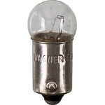 Order License Plate Light by WAGNER - BP53LL For Your Vehicle