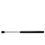 Order ACDELCO - 510-1245 - Tailgate Lift Support For Your Vehicle
