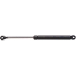 Order Lift Support by ACDELCO - 510-765 For Your Vehicle