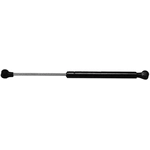 Order ACDELCO - 510-969 - Back Glass Lift Support For Your Vehicle