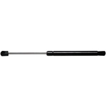 Order ACDELCO PROFESSIONAL - 510-1245 - Tailgate Lift Support For Your Vehicle