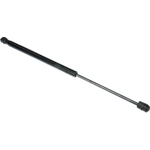 Order Lift Support by AUTOTECNICA - DG0816623 For Your Vehicle
