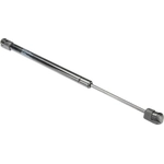 Order Lift Support by AUTOTECNICA - FD0816591 For Your Vehicle