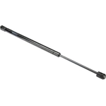 Order Lift Support by AUTOTECNICA - FD0816592 For Your Vehicle