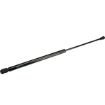 Order Lift Support by AUTOTECNICA - LX0816549 For Your Vehicle