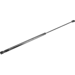 Order Lift Support by AUTOTECNICA - TY0816600 For Your Vehicle
