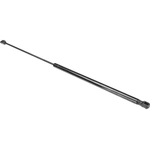 Order Lift Support by AUTOTECNICA - TY0816603 For Your Vehicle