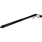 Order DORMAN (OE SOLUTIONS) - 747-055 - Liftgate Cylinder For Your Vehicle