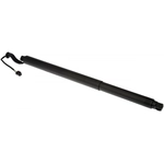 Order DORMAN (OE SOLUTIONS) - 747-056 - Lift Support For Your Vehicle