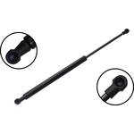 Order Lift Support by FCS AUTOMOTIVE - 80003 For Your Vehicle