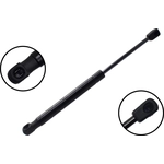 Order Lift Support by FCS AUTOMOTIVE - 80006 For Your Vehicle