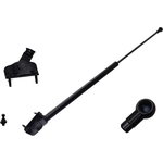 Order Lift Support by FCS AUTOMOTIVE - 80032 For Your Vehicle