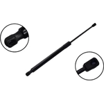 Order Lift Support by FCS AUTOMOTIVE - 80045 For Your Vehicle