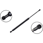 Order Lift Support by FCS AUTOMOTIVE - 80054 For Your Vehicle
