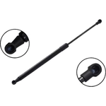 Order Lift Support by FCS AUTOMOTIVE - 80057 For Your Vehicle