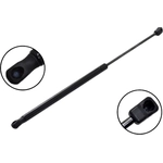 Order Lift Support by FCS AUTOMOTIVE - 80058 For Your Vehicle