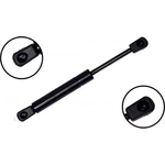 Order Lift Support by FCS AUTOMOTIVE - 84030 For Your Vehicle