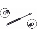 Order Lift Support by FCS AUTOMOTIVE - 84034 For Your Vehicle