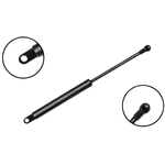 Order FCS AUTOMOTIVE - 84047 - Trunk Lid Lift Support For Your Vehicle