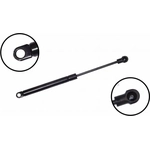 Order Lift Support by FCS AUTOMOTIVE - 84049 For Your Vehicle