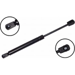 Order Lift Support by FCS AUTOMOTIVE - 84073 For Your Vehicle