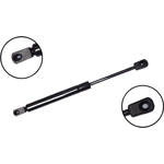 Order Lift Support by FCS AUTOMOTIVE - 84082 For Your Vehicle