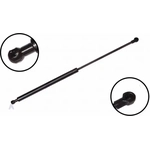 Order Lift Support by FCS AUTOMOTIVE - 84094 For Your Vehicle