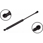 Order Lift Support by FCS AUTOMOTIVE - 84115 For Your Vehicle