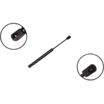 Order FCS AUTOMOTIVE - 84117 - Lift Support For Your Vehicle