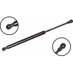 Order Lift Support by FCS AUTOMOTIVE - 84124 For Your Vehicle