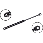 Order Lift Support by FCS AUTOMOTIVE - 84134 For Your Vehicle