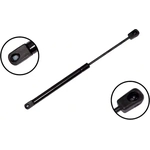 Order Lift Support by FCS AUTOMOTIVE - 84142 For Your Vehicle