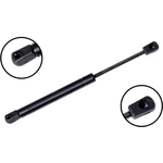 Order Lift Support by FCS AUTOMOTIVE - 84145 For Your Vehicle