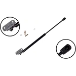 Order Lift Support by FCS AUTOMOTIVE - 84146 For Your Vehicle