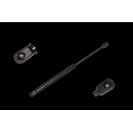 Order Lift Support by FCS AUTOMOTIVE - 84160 For Your Vehicle
