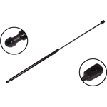 Order Lift Support by FCS AUTOMOTIVE - 84171 For Your Vehicle