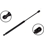 Order Lift Support by FCS AUTOMOTIVE - 84175 For Your Vehicle