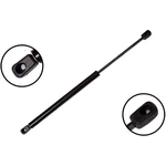 Order Lift Support by FCS AUTOMOTIVE - 84184 For Your Vehicle