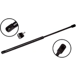 Order Lift Support by FCS AUTOMOTIVE - 84194 For Your Vehicle