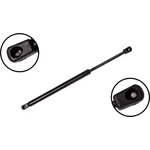 Order Lift Support by FCS AUTOMOTIVE - 84196 For Your Vehicle