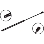 Order Lift Support by FCS AUTOMOTIVE - 84204 For Your Vehicle