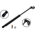 Order Lift Support by FCS AUTOMOTIVE - 84217L For Your Vehicle