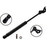 Order Lift Support by FCS AUTOMOTIVE - 84217R For Your Vehicle