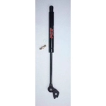 Order Lift Support by FCS AUTOMOTIVE - 84217R For Your Vehicle