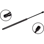 Order Lift Support by FCS AUTOMOTIVE - 84287 For Your Vehicle