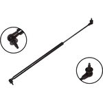 Order Lift Support by FCS AUTOMOTIVE - 84290 For Your Vehicle