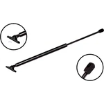 Order Lift Support by FCS AUTOMOTIVE - 84291 For Your Vehicle